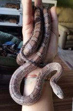 april 2016 small 1.jpg