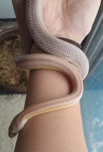 jan 2016 small 1.jpg