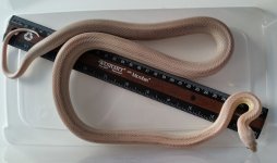 april 2016 small 1.jpg