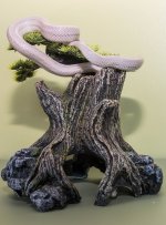 jan 2016 small 3.jpg