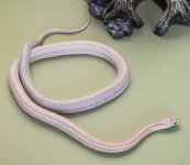 jan 2016 small 5.jpg