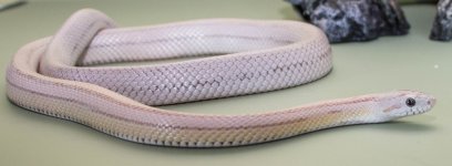 jan 2016 small 6.jpg