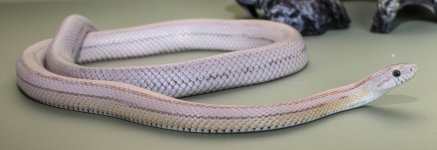 jan 2016 small 7.jpg