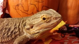 20131031_111003 (800x450).jpg