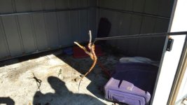 20160506_092304.jpg
