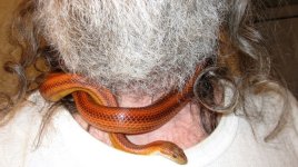IMG_0862.JPG