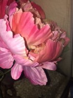 IMG_3672.JPG