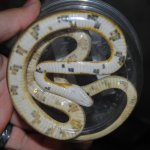 DSC_0015.JPG