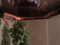 20140309_003252.jpg 20140309_003252.jpg