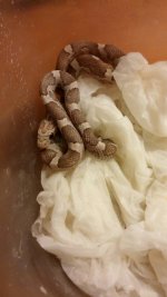 uploadfromtaptalk1397147773322.jpg uploadfromtaptalk1397147773322.jpg