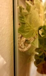 uploadfromtaptalk1397147866933.jpg uploadfromtaptalk1397147866933.jpg