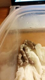 uploadfromtaptalk1397147905177.jpg uploadfromtaptalk1397147905177.jpg