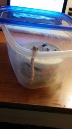 uploadfromtaptalk1397147931247.jpg uploadfromtaptalk1397147931247.jpg