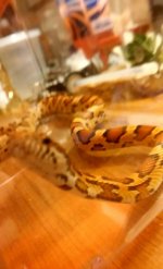 uploadfromtaptalk1397147948628.jpg uploadfromtaptalk1397147948628.jpg