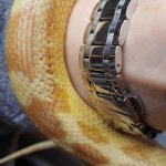 20190310_112252.jpeg