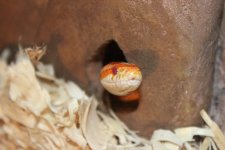 IMG_3640.JPG IMG_3640.JPG