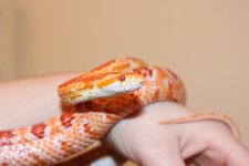 IMG_3679.JPG IMG_3679.JPG