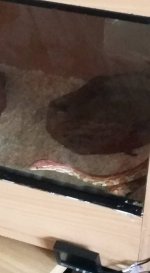 13255999_10154149008928397_8274206442314648939_n.jpg