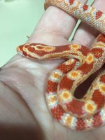 rsz_img_1975.jpg