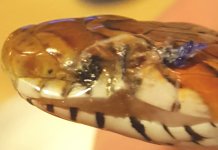 20170207_223040.jpg