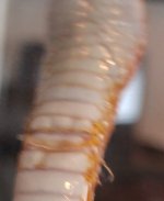 20160523_131546.jpg