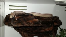 meri chillin may 23.jpg