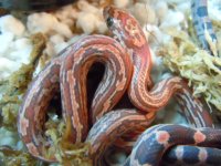 DSCN5582.JPG