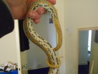 2013-04-25 12.58.09.jpg