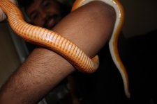IMG_2899.JPG