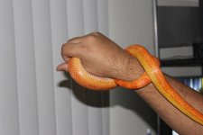 IMG_2903.JPG