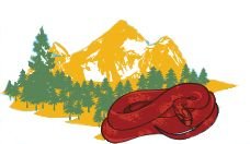 COLORADO-CORNS.jpg