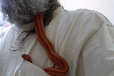 IMG_0073.JPG