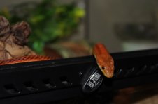 IMG_1122.JPG