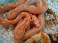 DSCN5605.JPG