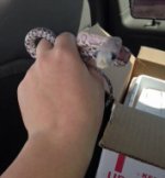 First Day Home, June 2, 2016 (3).JPG