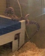 First Day Home, June 2, 2016 (1).JPG