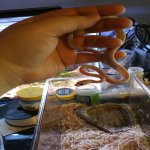 20160604_171328.jpg