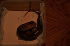 IMG_0141.JPG