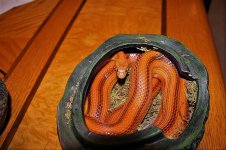 IMG_1141.JPG