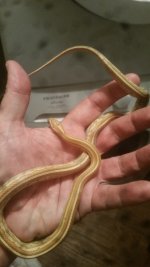 20160613_002212.jpg