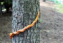 IMG_1166.JPG
