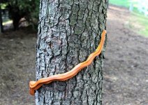 IMG_1167.JPG
