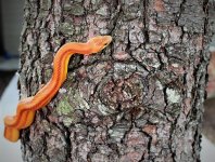 IMG_1169.JPG