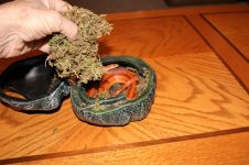 IMG_0183.JPG