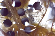 Photo on 4-15-17 at 7.59 PM.jpg