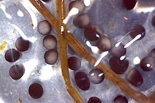 Photo on 4-15-17 at 8.28 PM.jpg