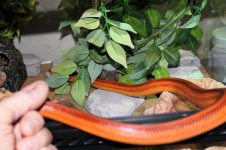 IMG_0193.JPG