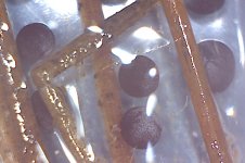 Photo on 4-16-17 at 6.58 PM.jpg