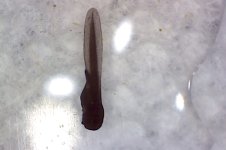 Photo on 4-21-17 at 1.03 PM.jpg