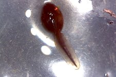 Photo on 4-28-17 at 9.22 AM.jpg